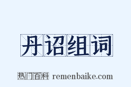 丹诏组词是什么意思的图片